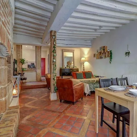 Apartment L'authentique - Cinema - Unique - Hypercentre - Rent Immo Dijon