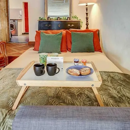 Apartment L'authentique - Cinema - Unique - Hypercentre - Rent Immo