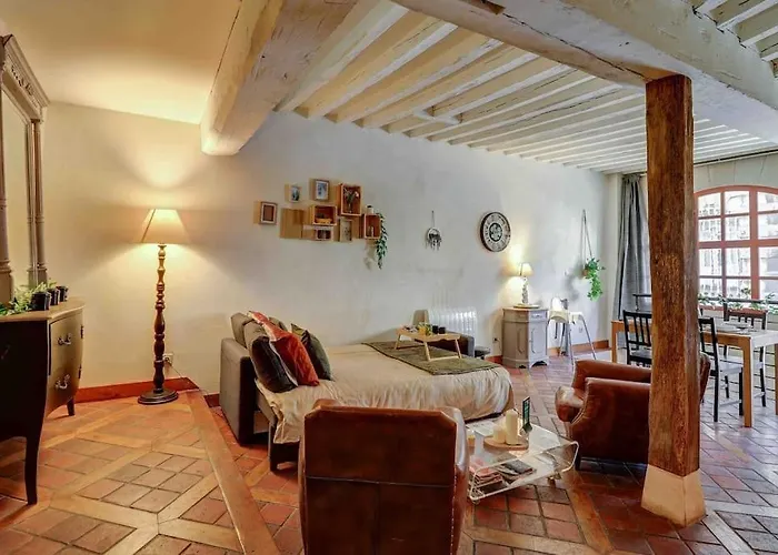 L'authentique - Cinema - Unique - Hypercentre - Rent Immo Appartamento