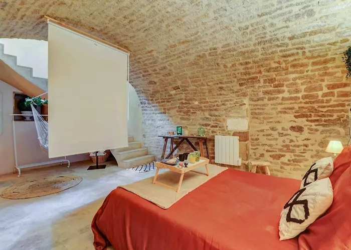 L'authentique - Cinema - Unique - Hypercentre - Rent Immo * Digione